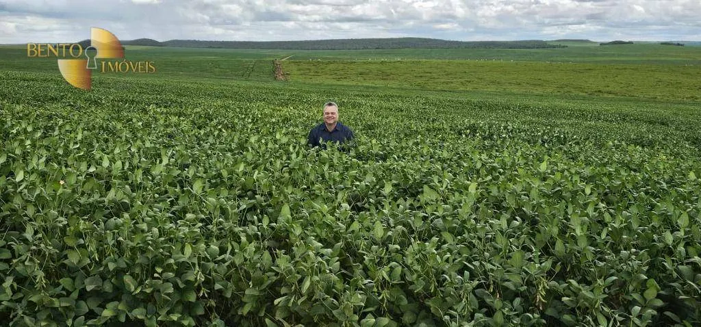 Fazenda à venda de 728 ha em Nova Maringá, MT, Brasil