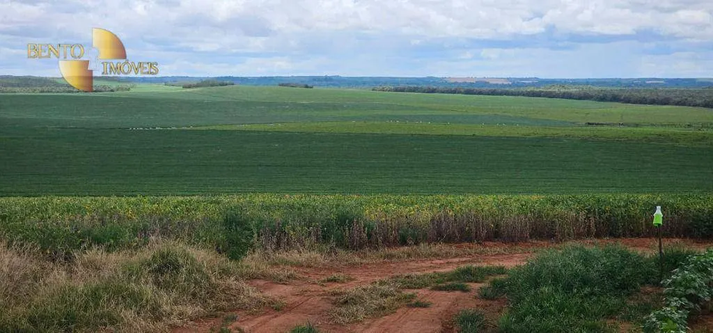 Fazenda à venda de 728 ha em Nova Maringá, MT, Brasil