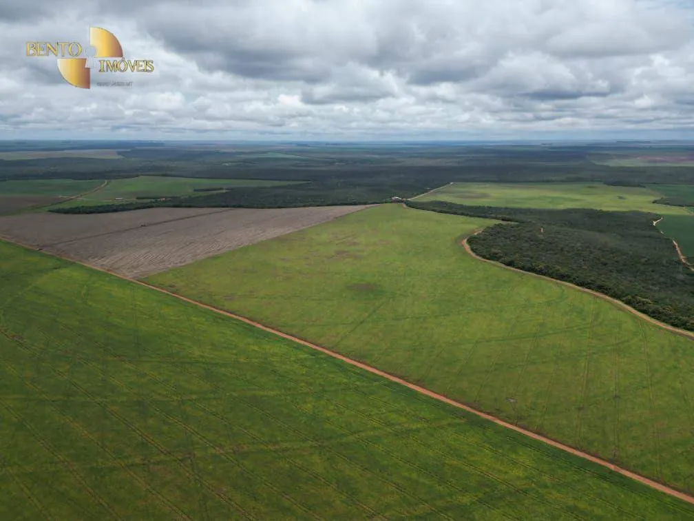 Fazenda à venda de 728 ha em Nova Maringá, MT, Brasil