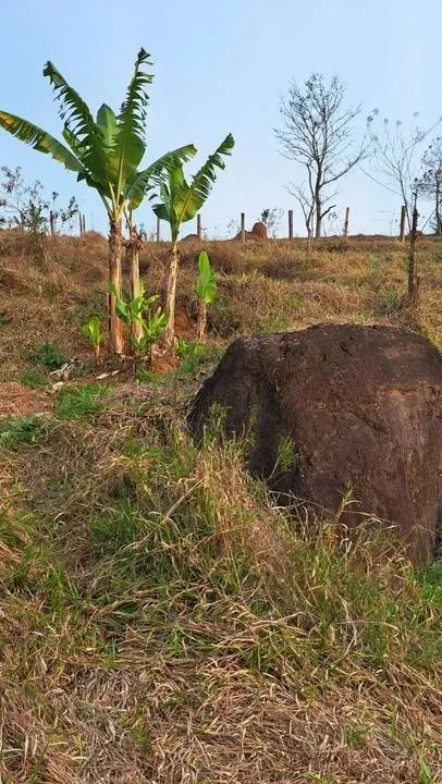 Chácara à venda de 1 ha em Jambeiro, SP, Brasil