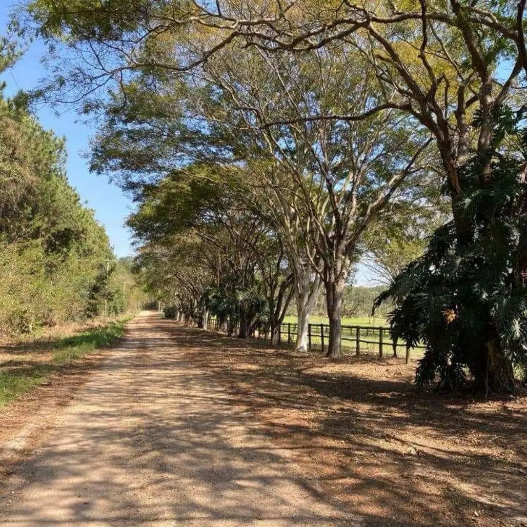 Haras à venda de 182 ha em Tatuí, SP, Brasil