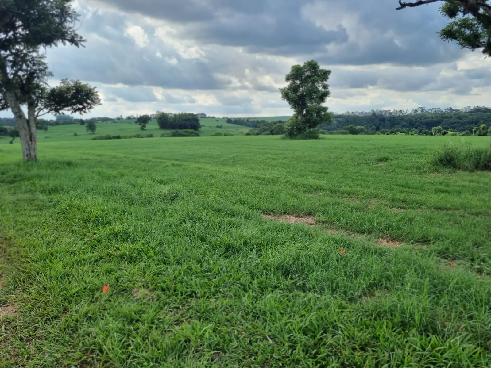 Haras à venda de 182 ha em Tatuí, SP, Brasil