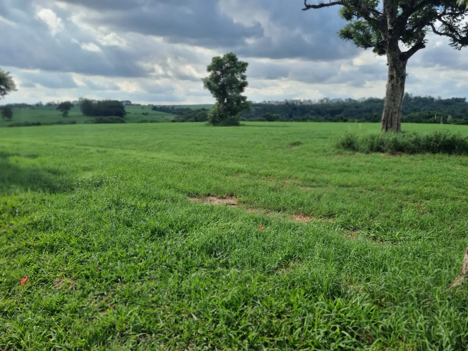 Haras à venda de 182 ha em Tatuí, SP, Brasil