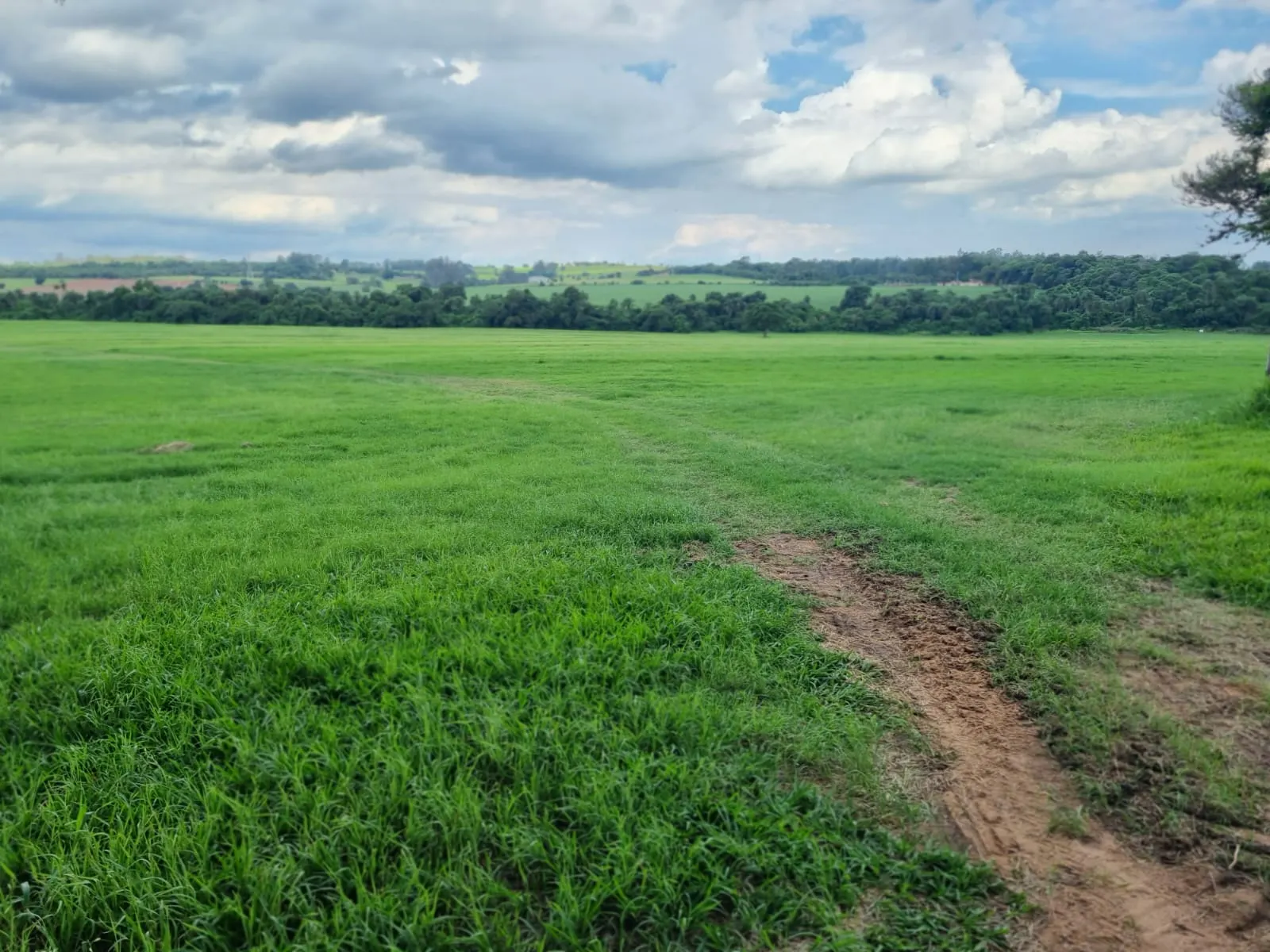 Haras à venda de 182 ha em Tatuí, SP, Brasil