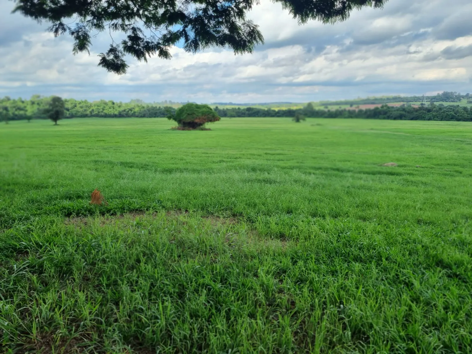 Haras à venda de 182 ha em Tatuí, SP, Brasil