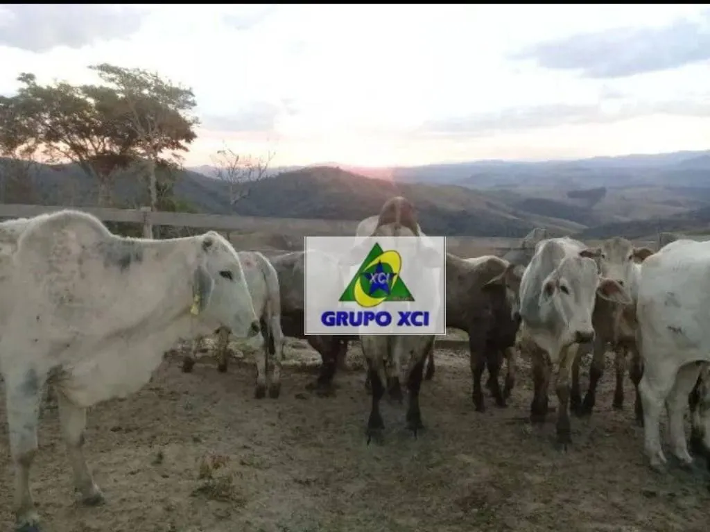 Fazenda à venda de 97 ha em São Luiz do Paraitinga, SP, Brasil