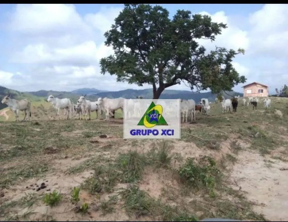Fazenda à venda de 97 ha em São Luiz do Paraitinga, SP, Brasil