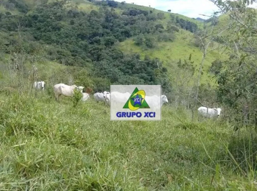 Fazenda à venda de 97 ha em São Luiz do Paraitinga, SP, Brasil