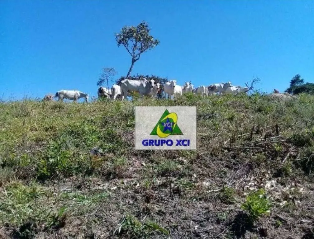 Fazenda à venda de 97 ha em São Luiz do Paraitinga, SP, Brasil
