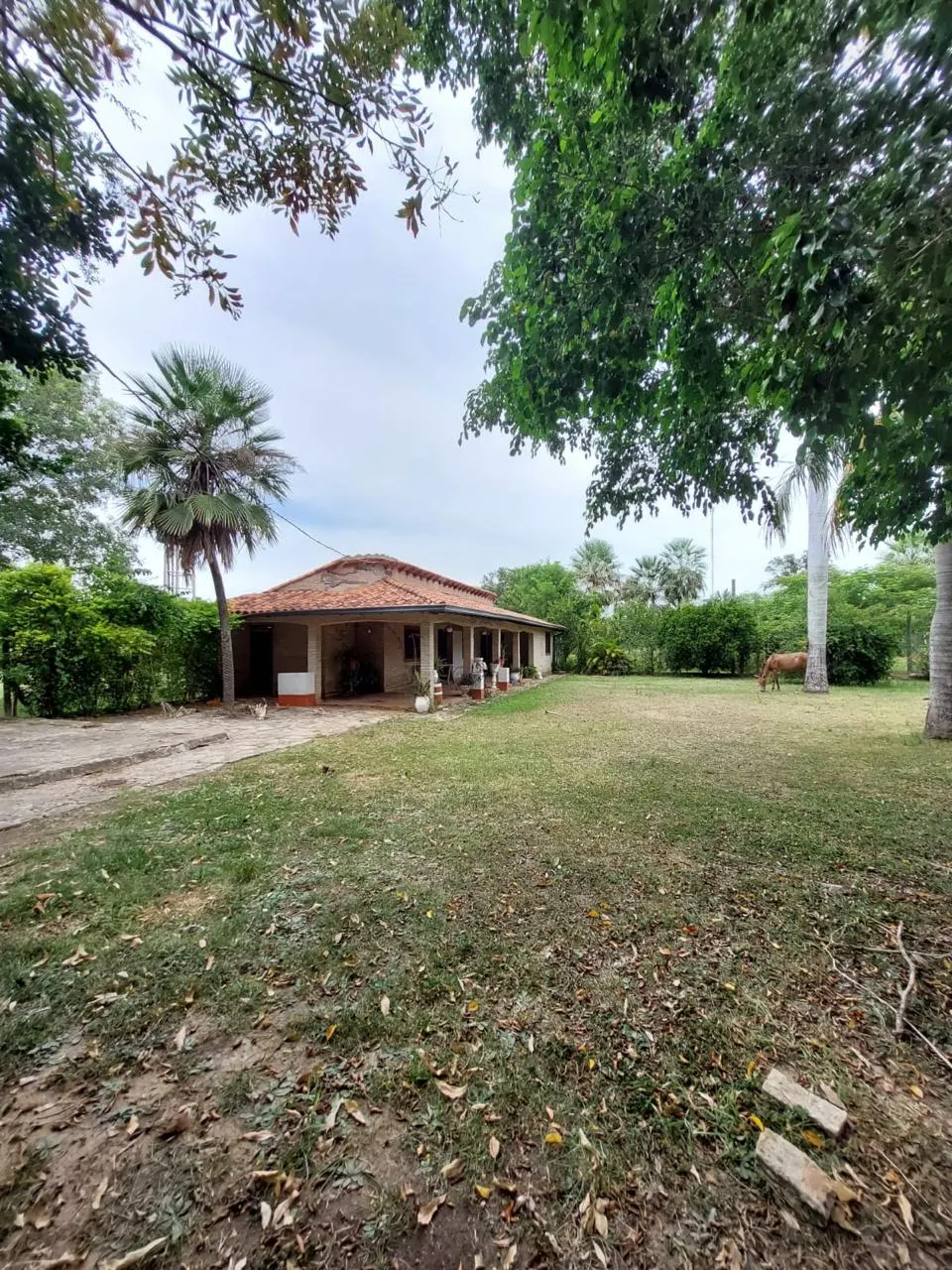 Fazenda à venda de 42 ha em Villeta, Paraguai