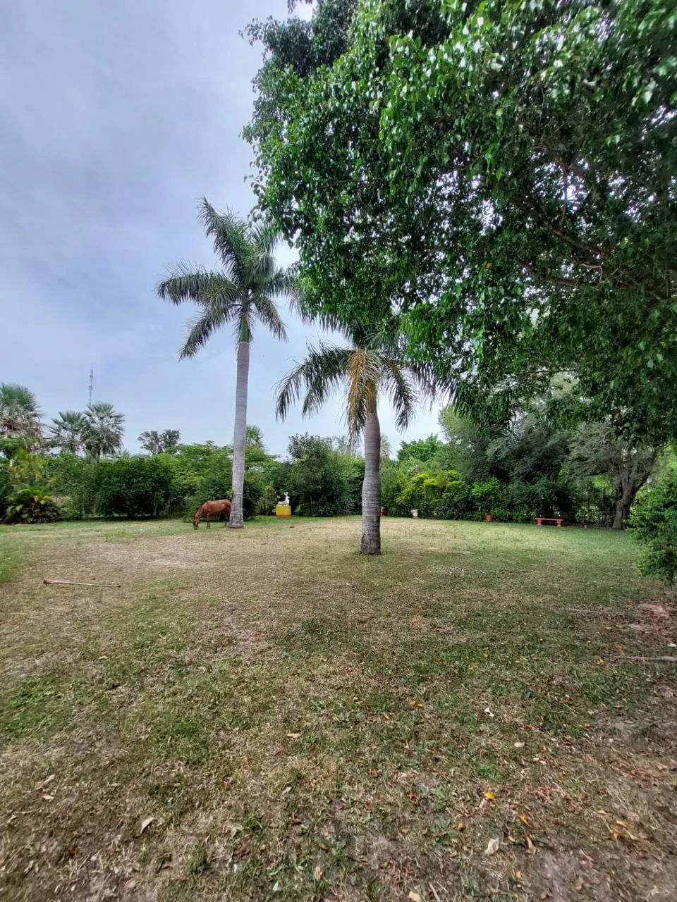 Fazenda à venda de 42 ha em Villeta, Paraguai