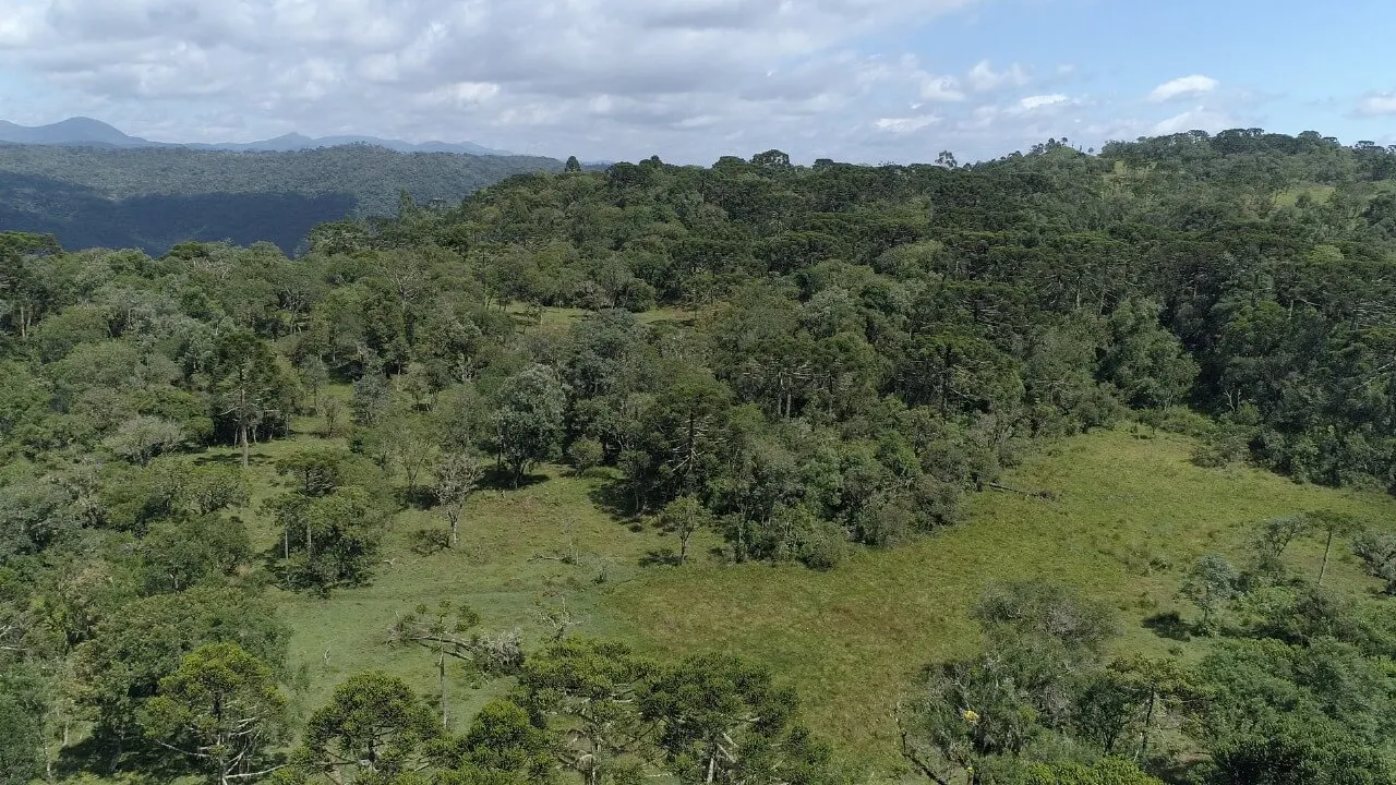 Sítio à venda de 21 ha em Urubici, SC, Brasil