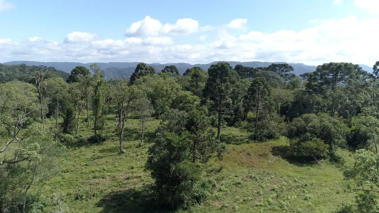 Sítio à venda de 21 ha em Urubici, SC, Brasil