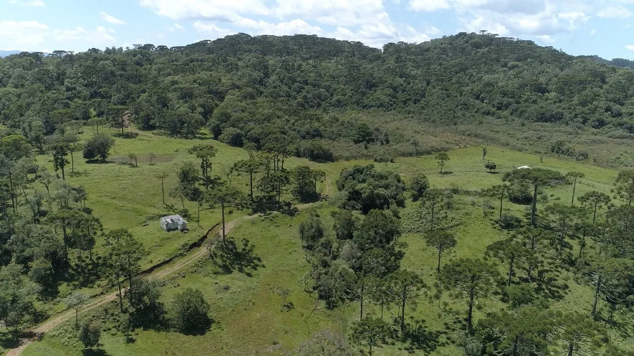 Sítio à venda de 21 ha em Urubici, SC, Brasil