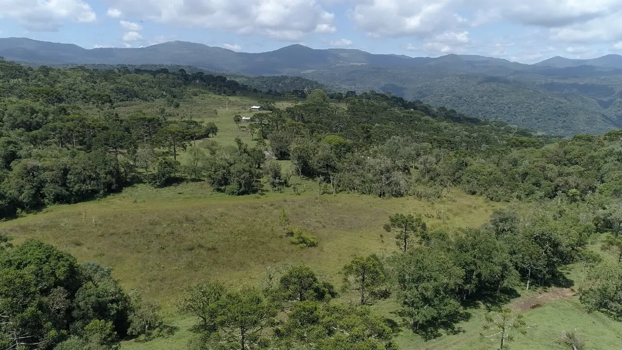 Sítio à venda de 21 ha em Urubici, SC, Brasil