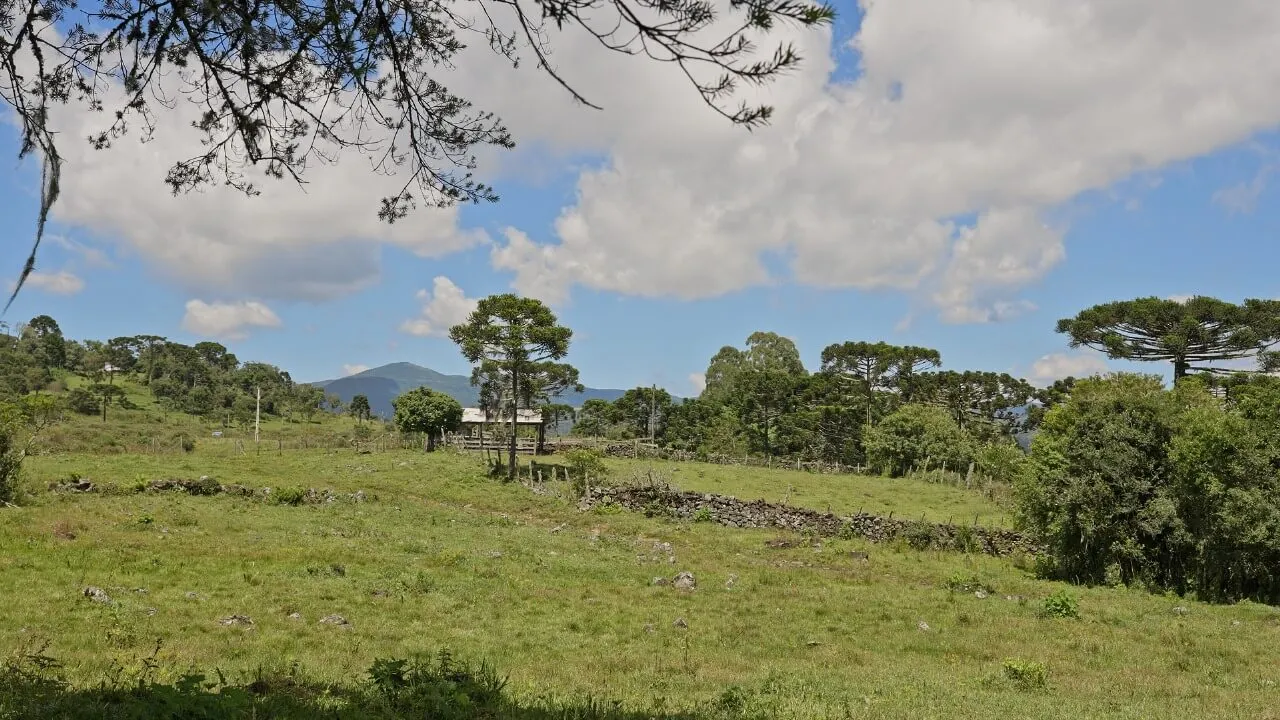 Sítio à venda de 21 ha em Urubici, SC, Brasil