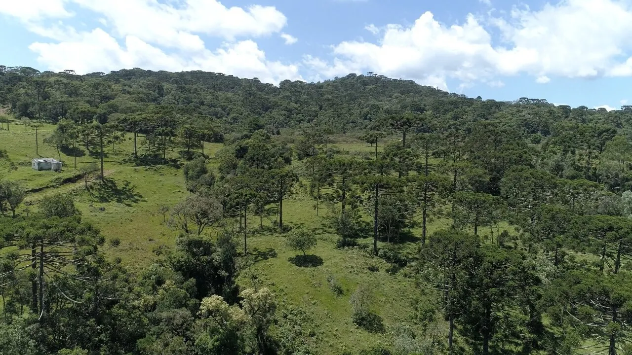 Sítio à venda de 21 ha em Urubici, SC, Brasil