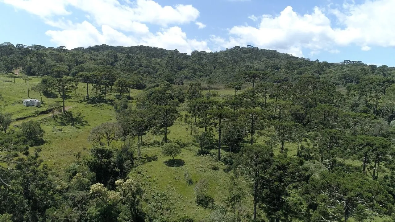 Sítio à venda de 21 ha em Urubici, SC, Brasil