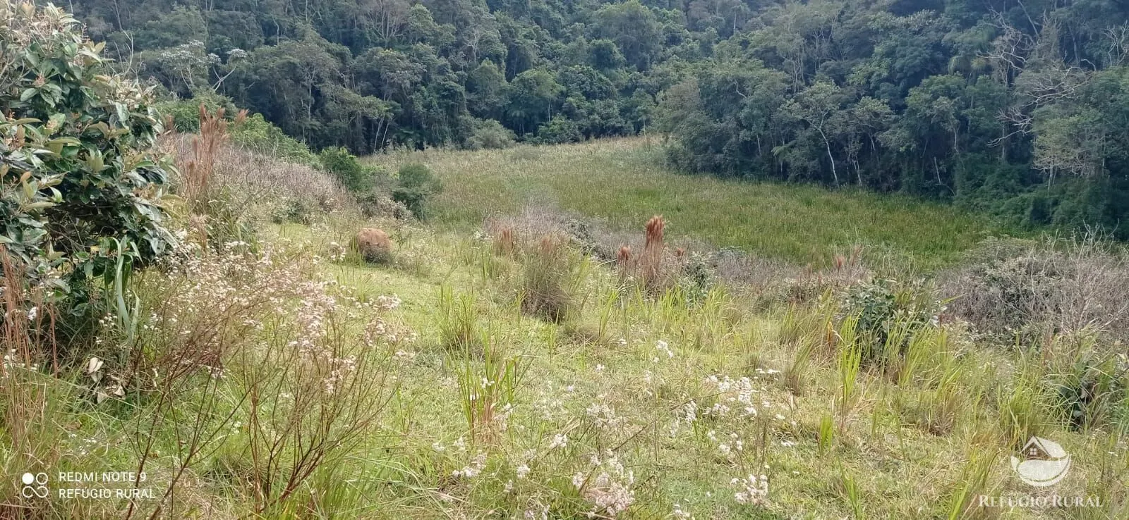 Fazenda à venda de 249 ha em Igaratá, SP, Brasil