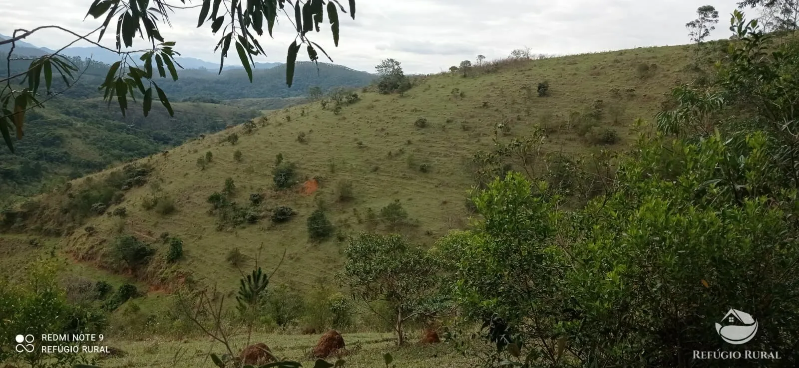 Fazenda à venda de 249 ha em Igaratá, SP, Brasil
