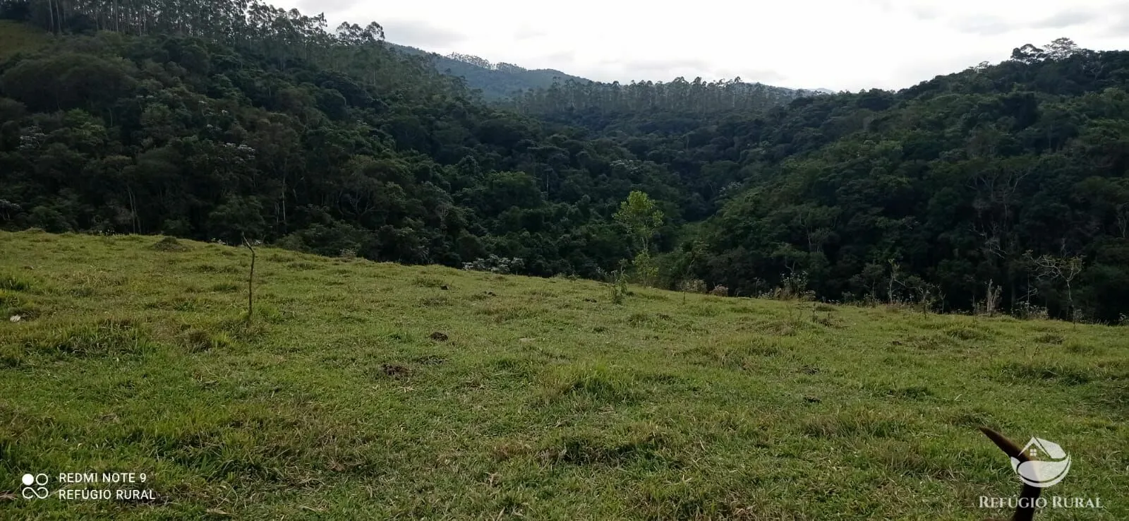 Fazenda à venda de 249 ha em Igaratá, SP, Brasil