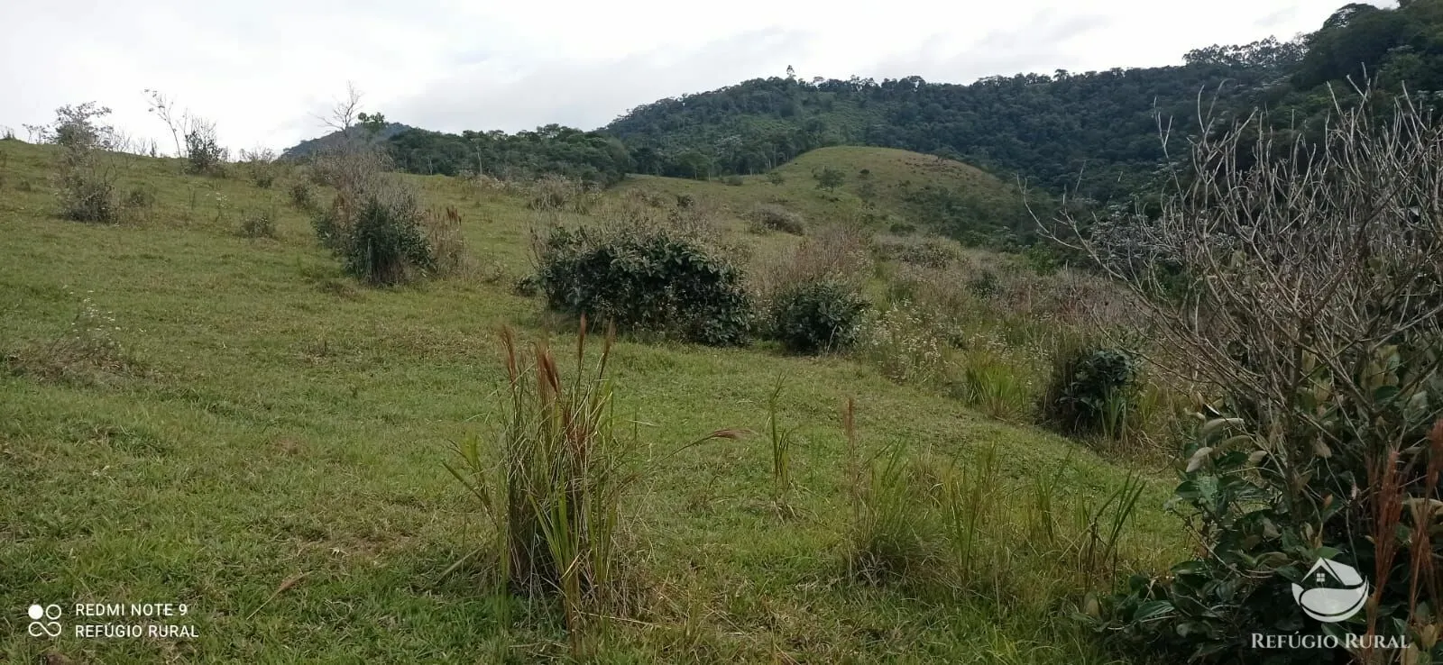 Fazenda à venda de 249 ha em Igaratá, SP, Brasil