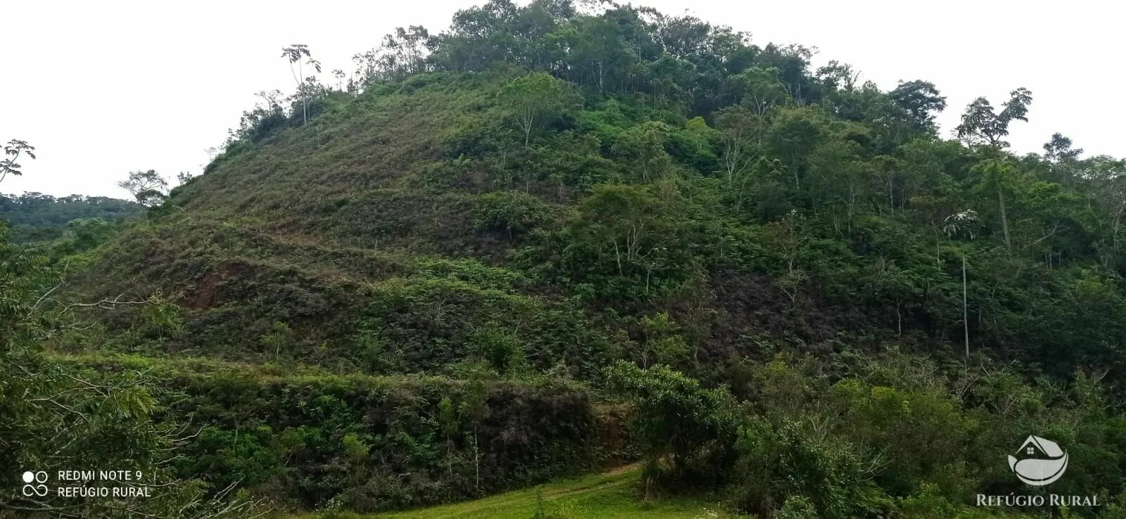 Fazenda à venda de 249 ha em Igaratá, SP, Brasil
