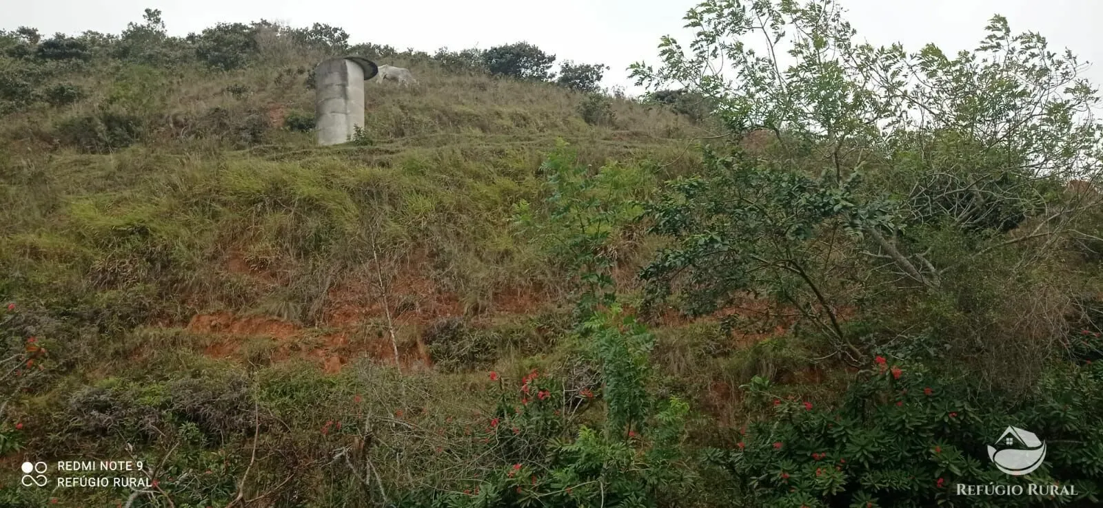 Fazenda à venda de 249 ha em Igaratá, SP, Brasil