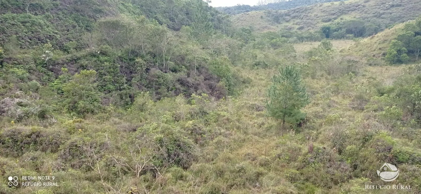 Fazenda à venda de 249 ha em Igaratá, SP, Brasil