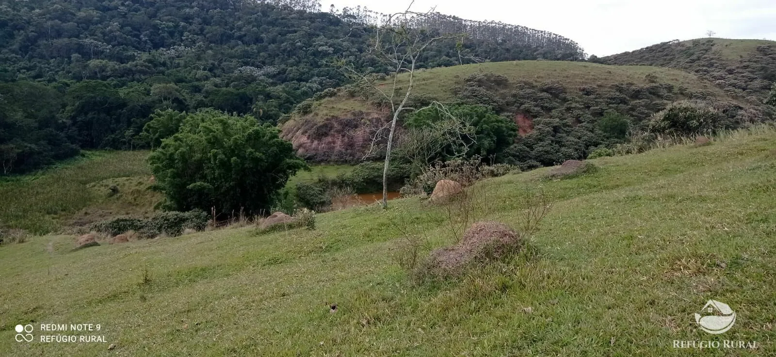 Fazenda à venda de 249 ha em Igaratá, SP, Brasil