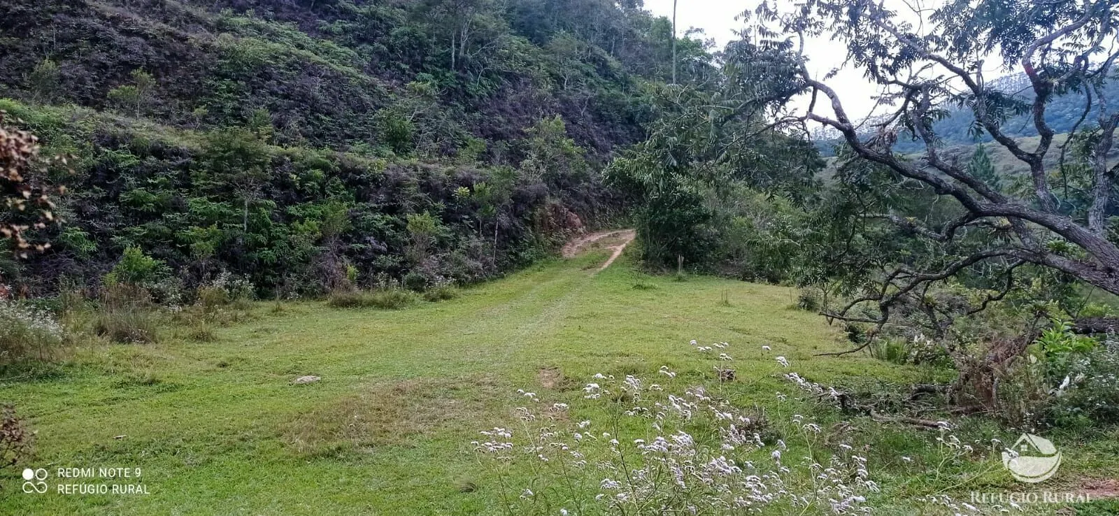 Fazenda à venda de 249 ha em Igaratá, SP, Brasil