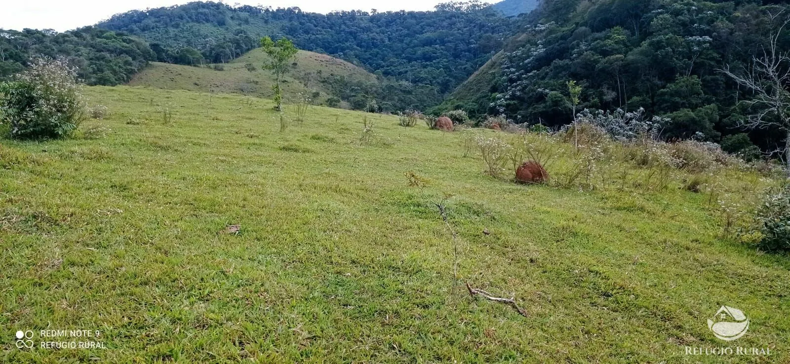 Fazenda à venda de 249 ha em Igaratá, SP, Brasil
