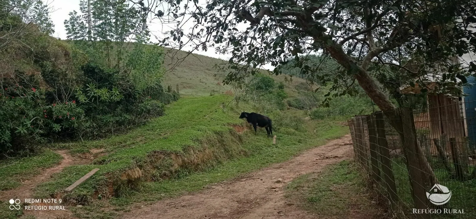 Fazenda à venda de 249 ha em Igaratá, SP, Brasil