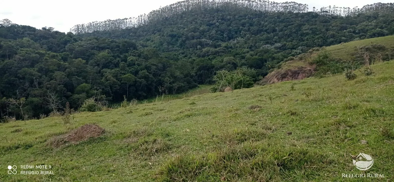 Fazenda à venda de 249 ha em Igaratá, SP, Brasil