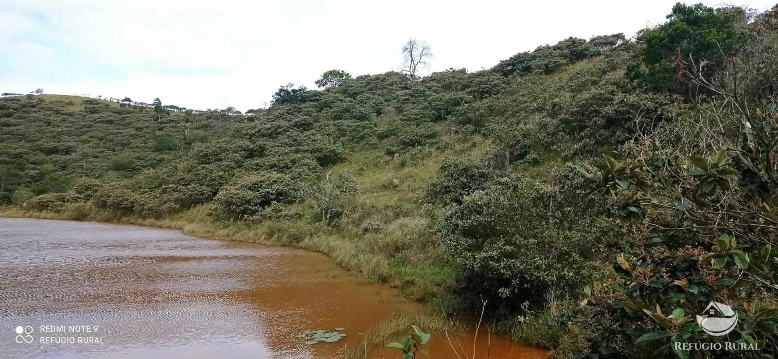 Fazenda à venda de 249 ha em Igaratá, SP, Brasil