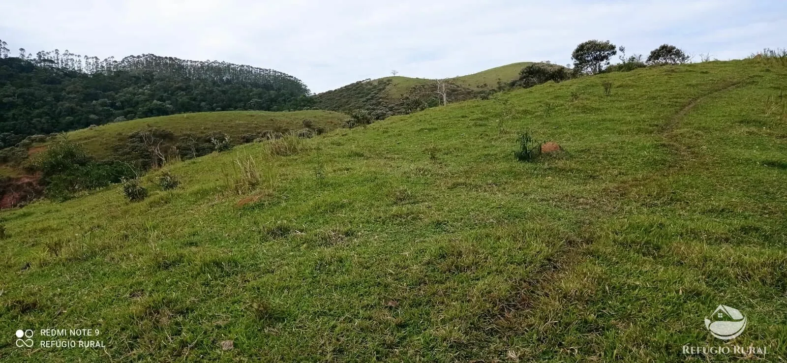 Fazenda à venda de 249 ha em Igaratá, SP, Brasil