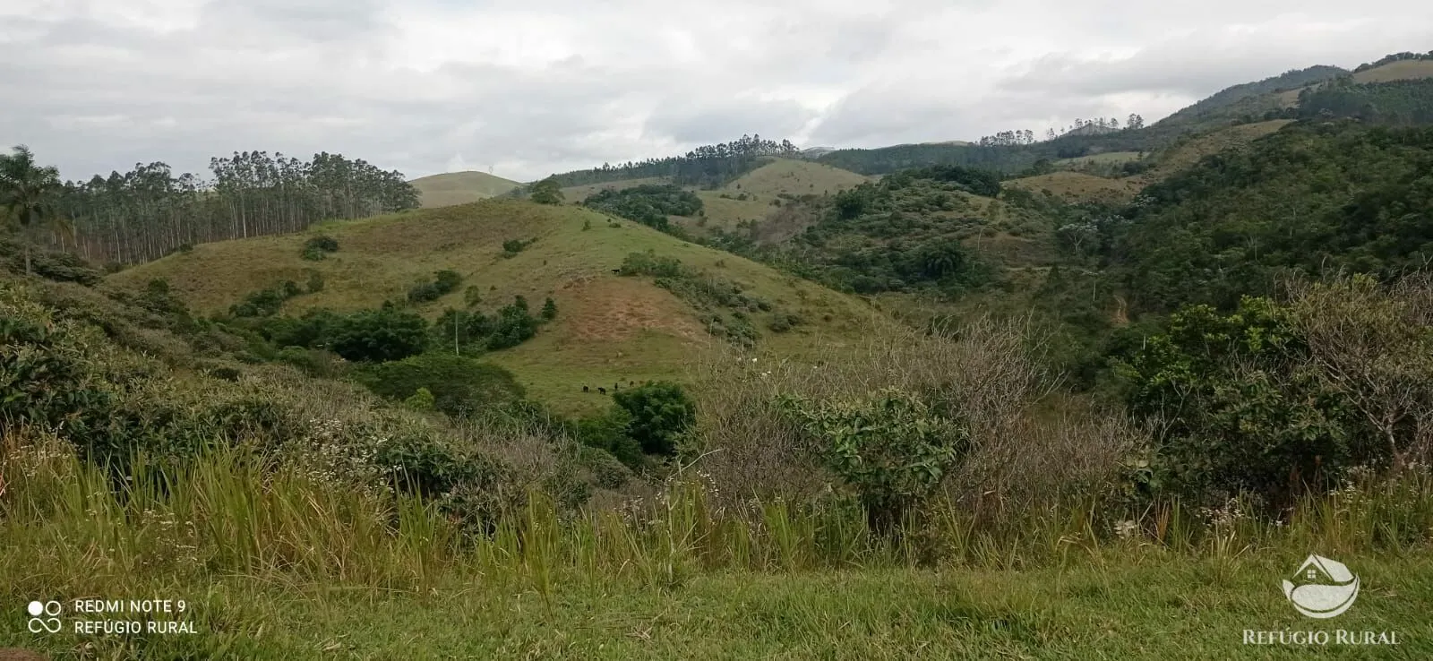Fazenda à venda de 249 ha em Igaratá, SP, Brasil