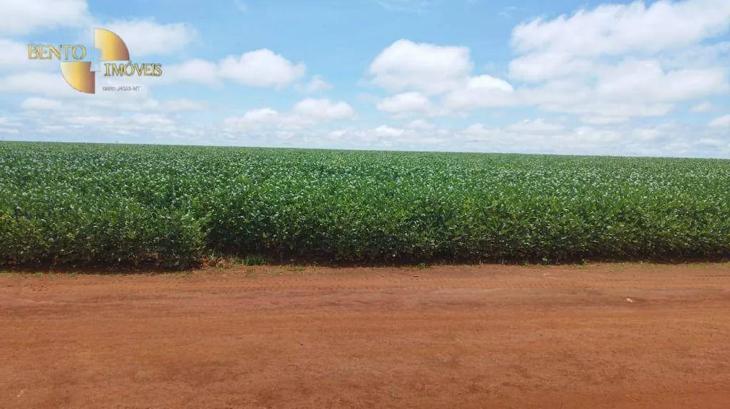 Fazenda à venda de 1.143 ha em Jaciara, MT, Brasil