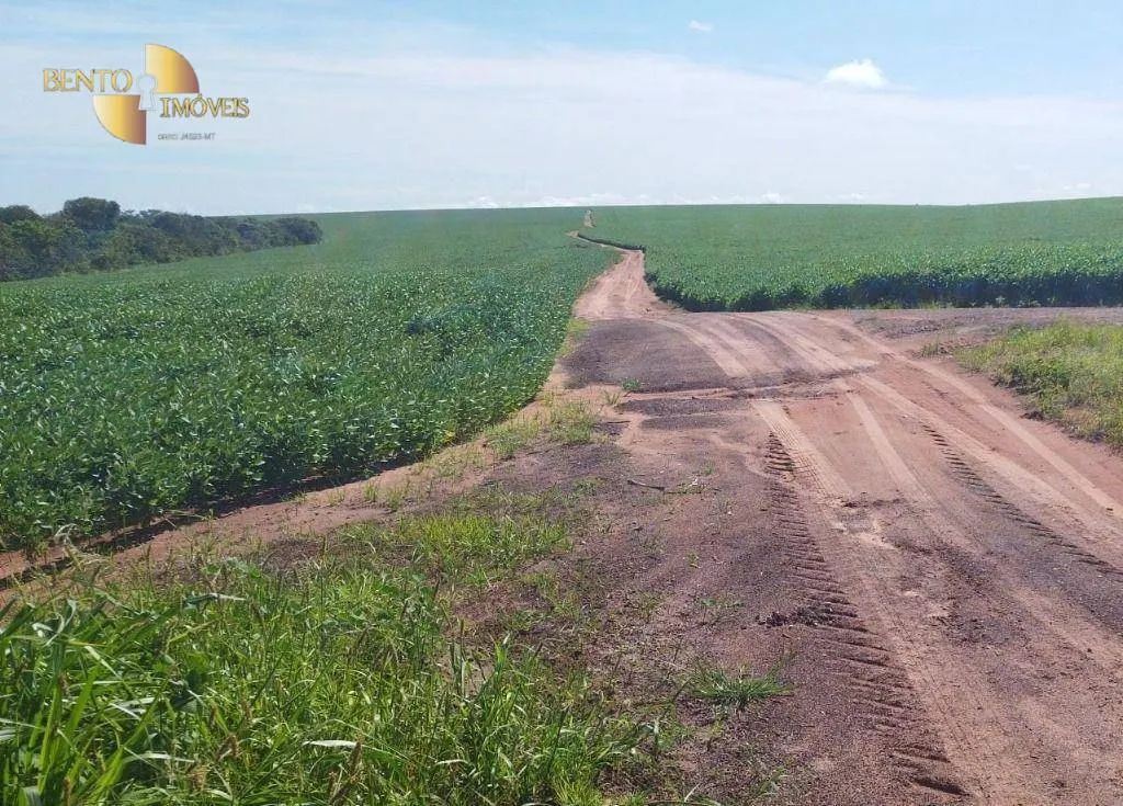 Fazenda à venda de 1.143 ha em Jaciara, MT, Brasil