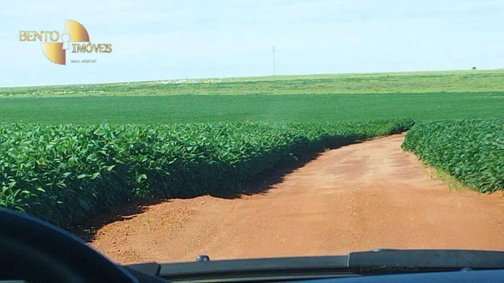 Fazenda à venda de 1.143 ha em Jaciara, MT, Brasil