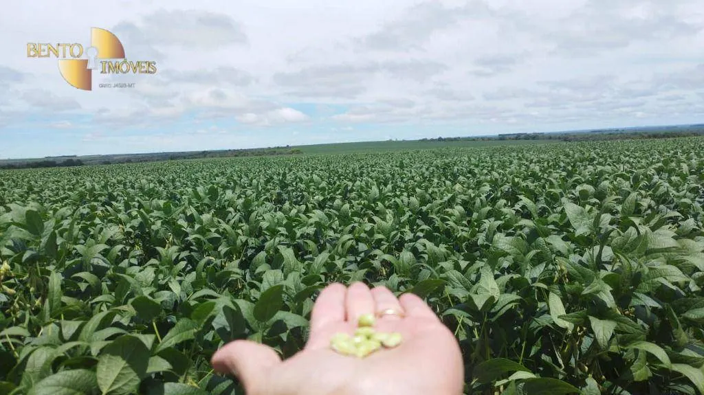 Fazenda à venda de 1.143 ha em Jaciara, MT, Brasil