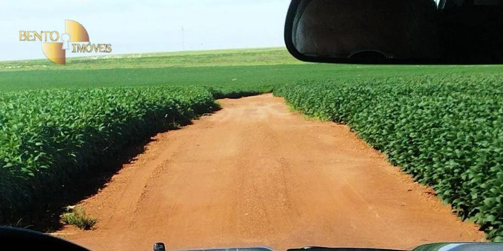 Fazenda à venda de 1.143 ha em Jaciara, MT, Brasil