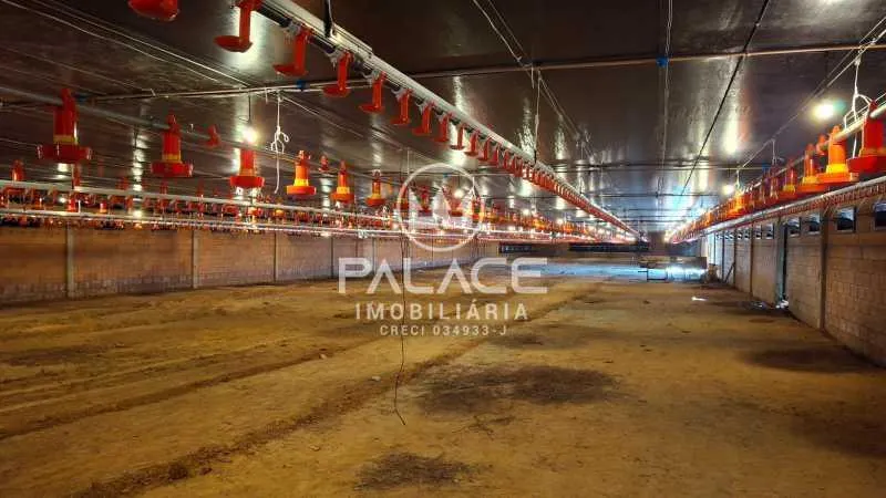 Small farm for sale of 13 acres in Tietê, SP, Brazil
