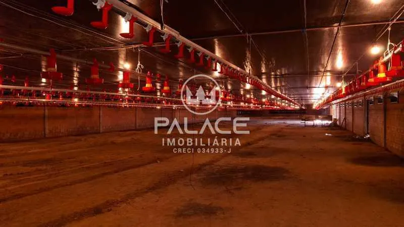 Small farm for sale of 13 acres in Tietê, SP, Brazil