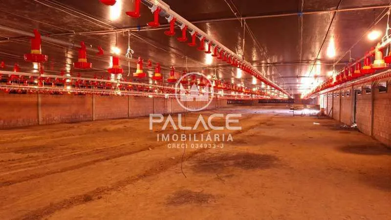 Small farm for sale of 13 acres in Tietê, SP, Brazil