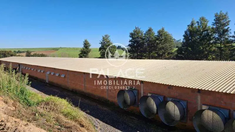 Small farm for sale of 13 acres in Tietê, SP, Brazil