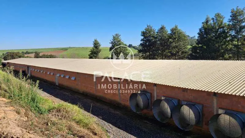 Small farm for sale of 13 acres in Tietê, SP, Brazil