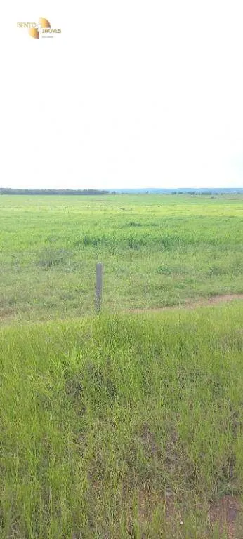 Fazenda à venda de 1.510 ha em Nova Mutum, MT, Brasil