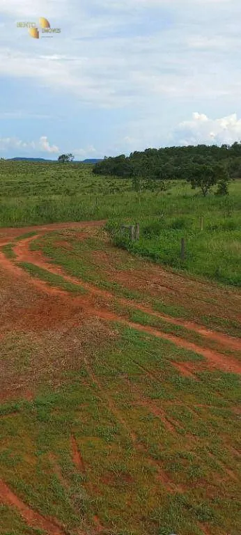 Fazenda à venda de 1.510 ha em Nova Mutum, MT, Brasil