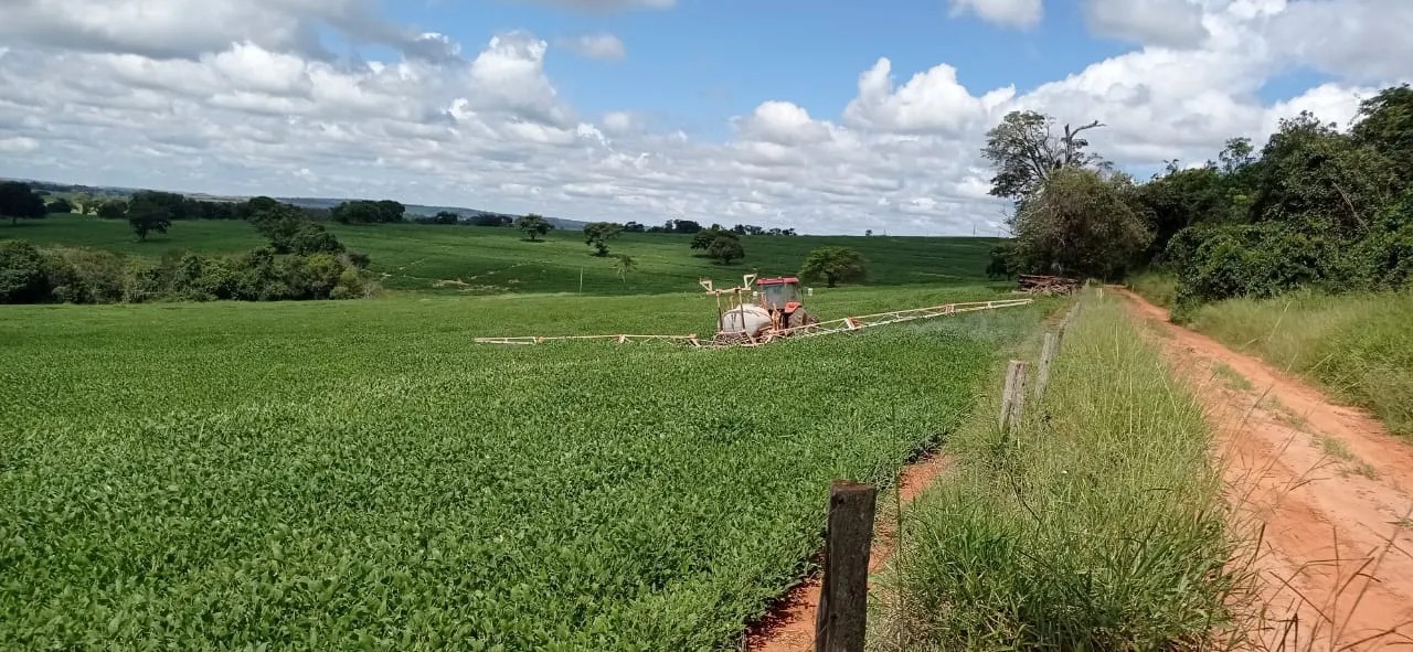 Fazenda à venda de 456 ha em São Gonçalo do Abaeté, MG, Brasil